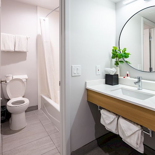 The image shows a modern bathroom with a sink, a mirror, and a vase with a plant. The adjacent space has a toilet and a shower.