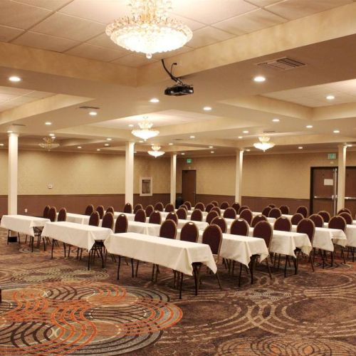 The image shows a conference room with a patterned carpet, rows of chairs, tables with white tablecloths, chandeliers, and a ceiling-mounted projector.