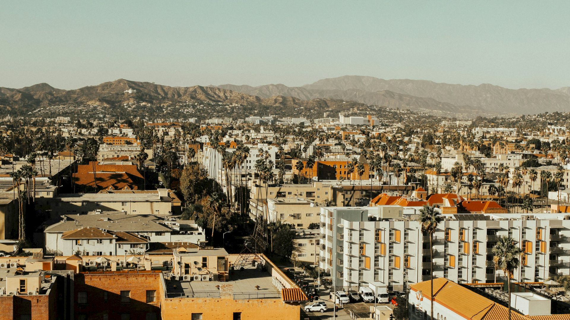 The image shows a cityscape with numerous buildings, palm trees, and mountains in the background under a clear sky, creating an urban scenic view.