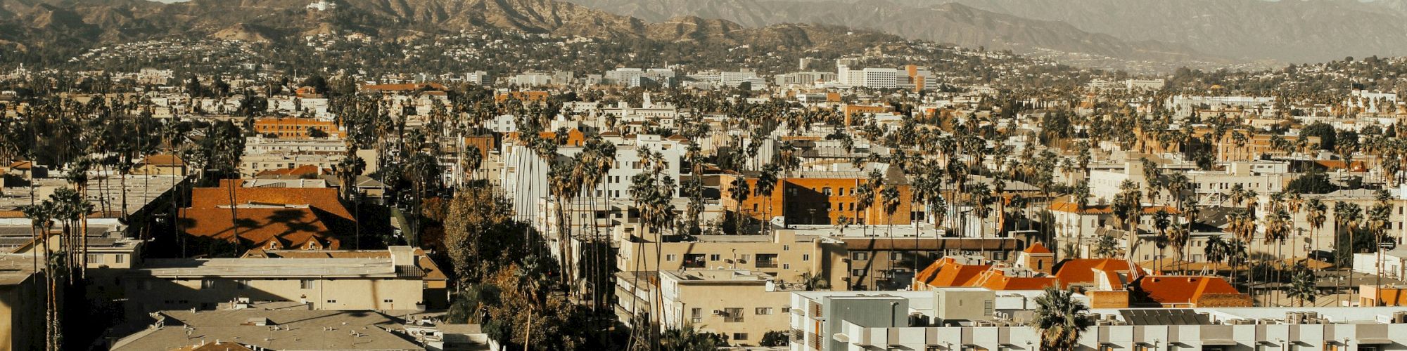 The image shows a cityscape with numerous buildings, palm trees, and mountains in the background under a clear sky, creating an urban scenic view.