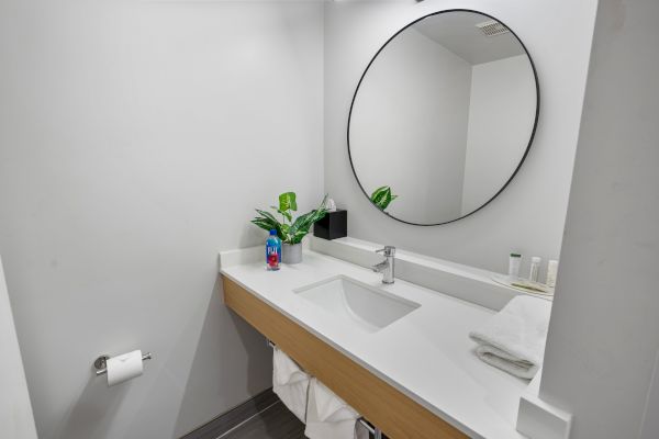 A modern bathroom with a circular mirror above a countertop with a sink, soap dispenser, green plant, and some toiletries. Toilet paper holder on the left.