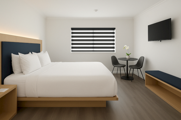 A minimalist hotel room with a bed, nightstand, TV, round table with chairs, window blinds, and a plant on the table.