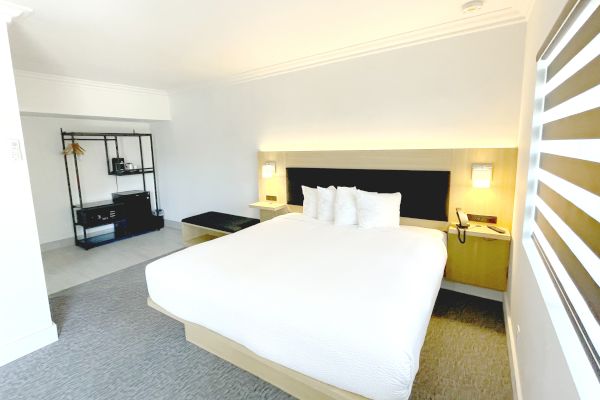 A modern hotel room with a large white bed, two bedside tables, wall-mounted lamps, a bench, a shelf unit, and a phone on the right table.