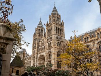 A historic, ornate building with towers and arches is surrounded by autumn trees under a clear sky.