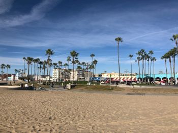 A sandy beach scene with palm trees, people walking, buildings, and a clear blue sky in the background.