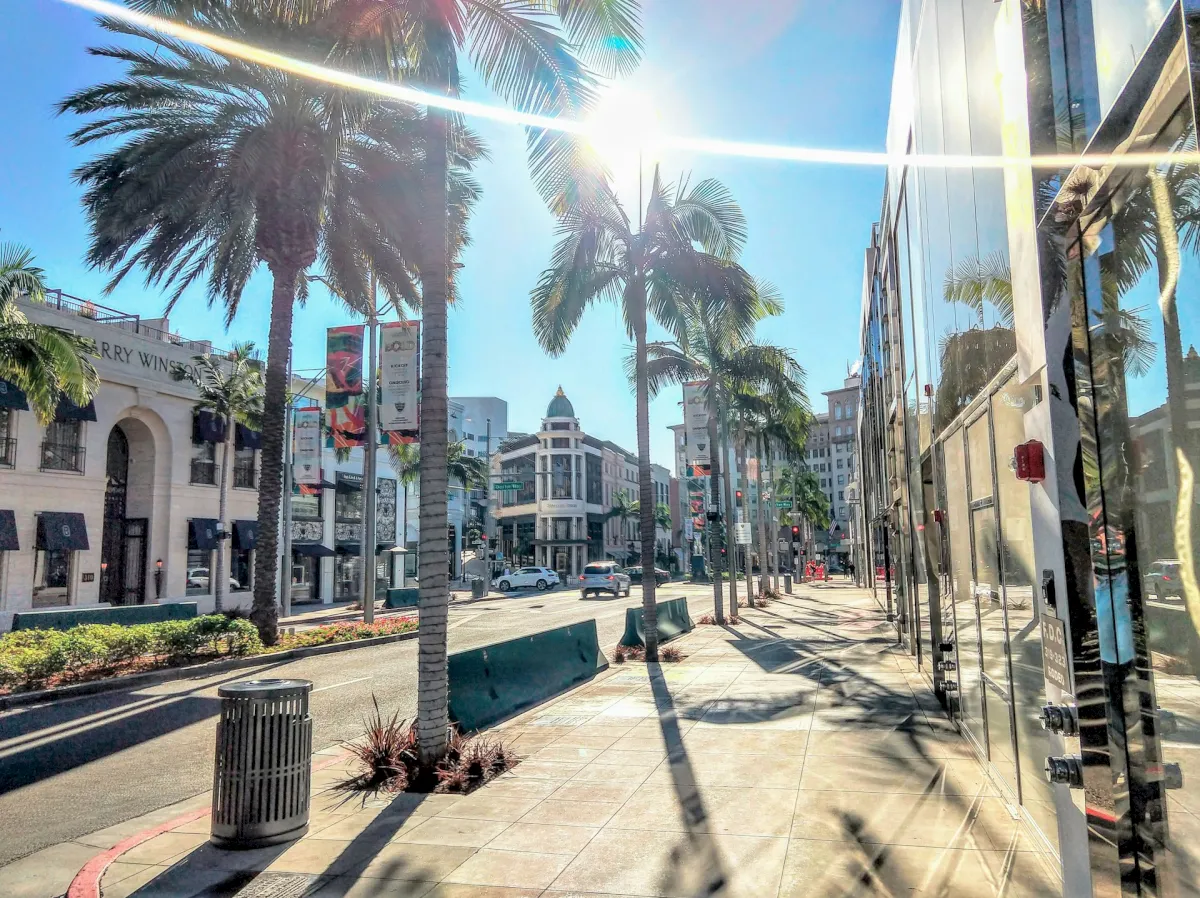 A sunny street scene with palm trees, a glass facade, and buildings in the background.