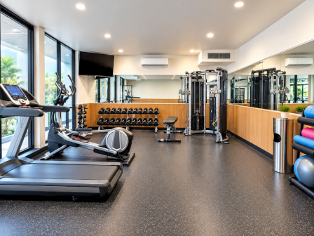 A modern gym with treadmills, dumbbells, weight machines, and colorful exercise balls along the walls.