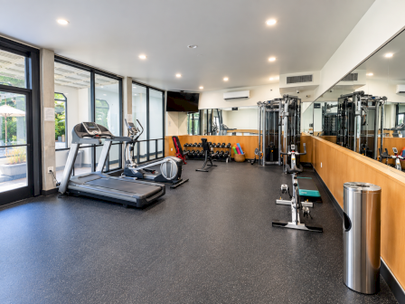 A bright gym with treadmills and an exercise area, plus free weights, machines, and mirrored walls.